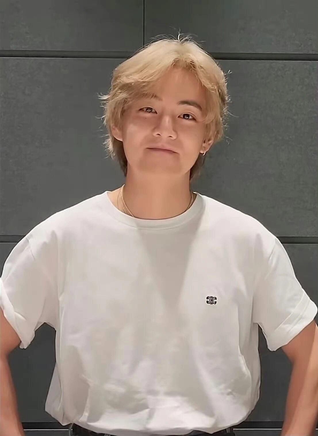 2026 New Ce Arc de Triomphe Short-Sleeved Shirt (23296-A10)