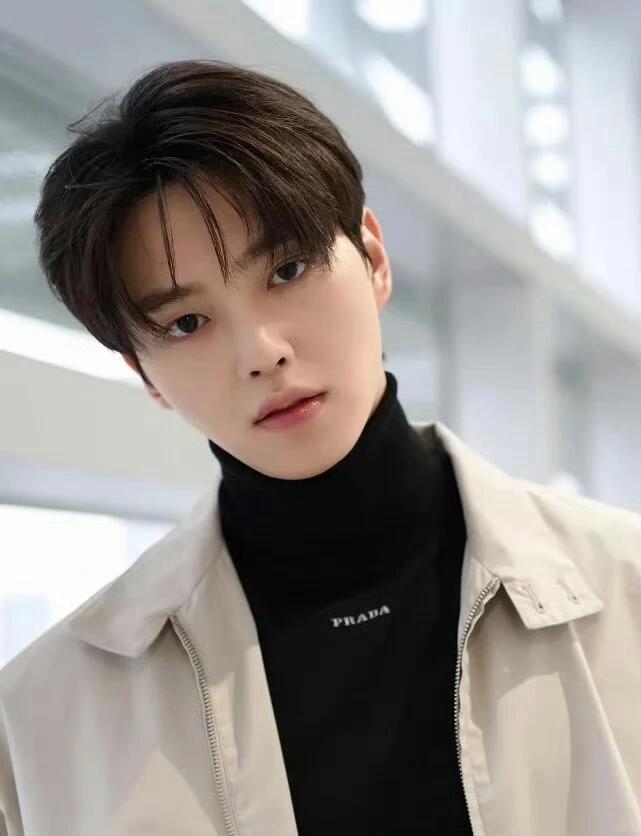 2026 New Triangle Brand Jacquard Turtleneck Jumper (25283-B20)