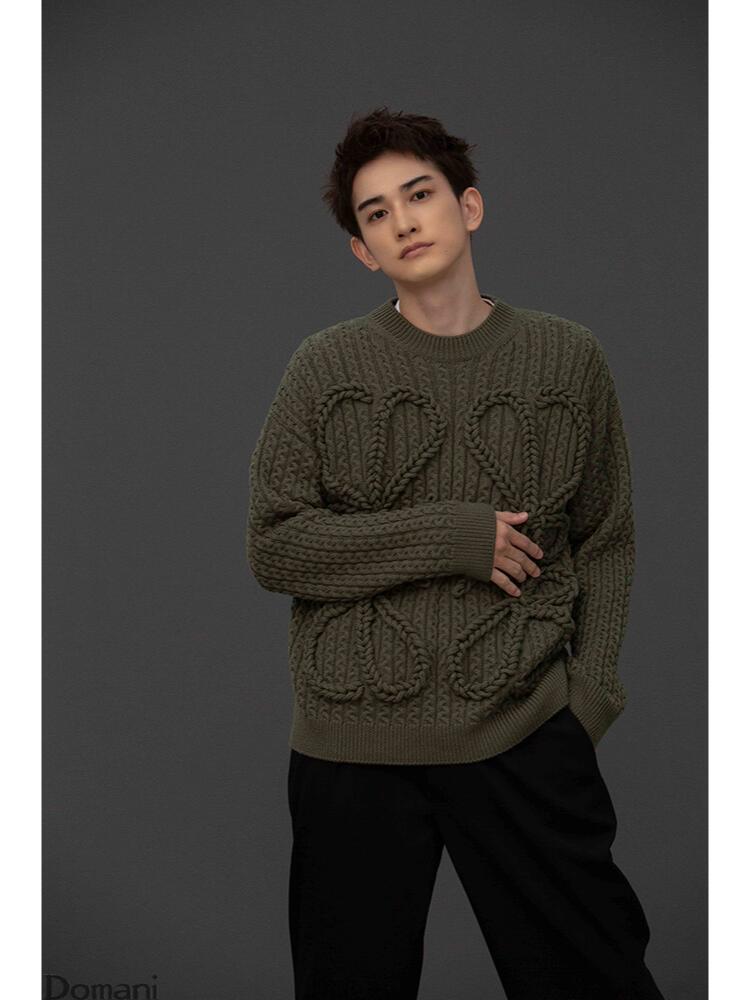 2026 New Heart A Jacquard Rundhals-Strickpullover (25374-B30)