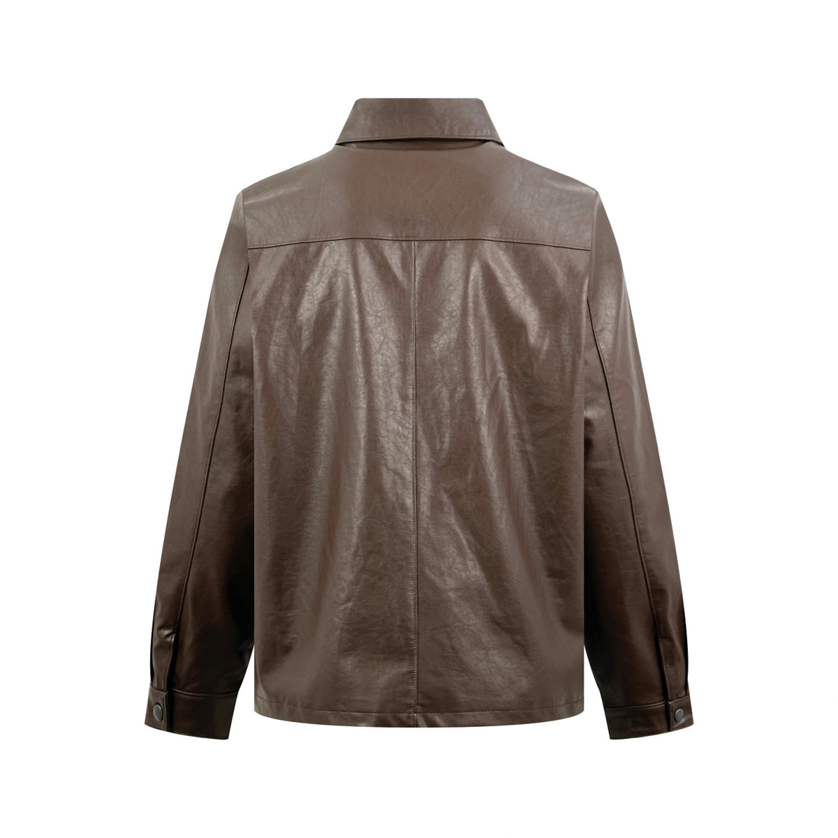 2026 New Model Triangle Brand Single Button Leather Jacket (CC7043-C05)